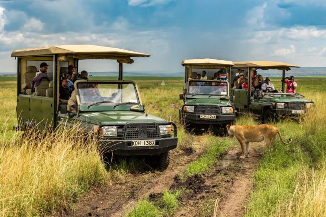 8-days-tanzania-wildlife-cultural-tour-2025-2026