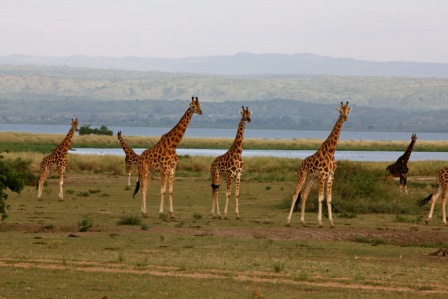 4 days Tanzania Camping budget safari
