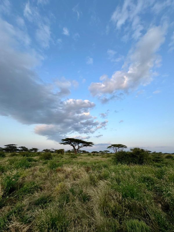 lake-nakuru-national-park-safaris