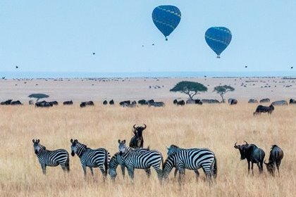 3 days Amboseli national park tour