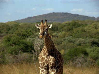 tanzania-camping-safari